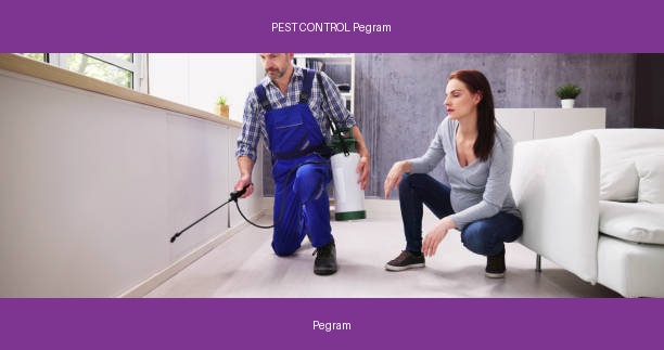 PEST CONTROL Pegram